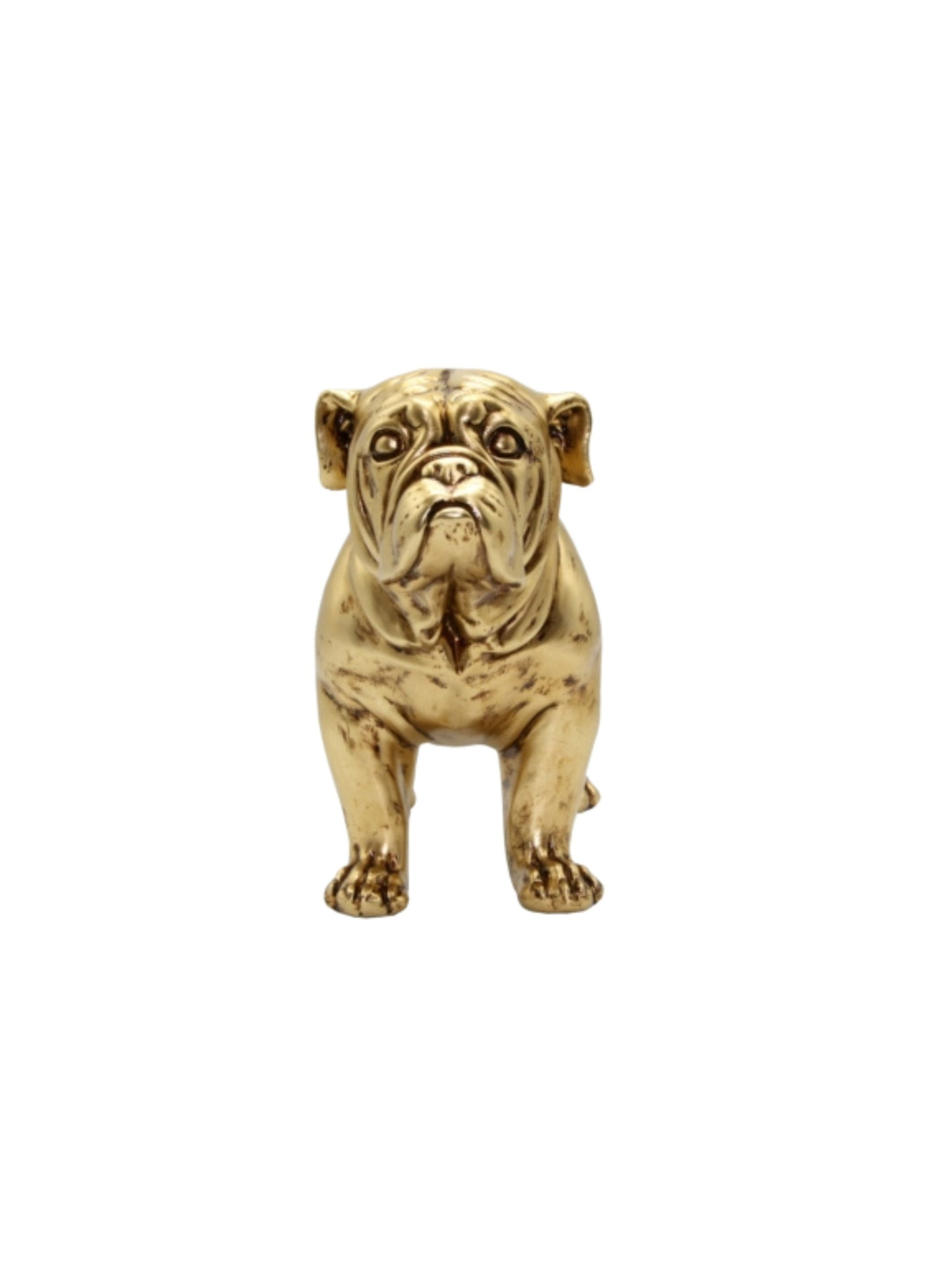 Figurine Pug Gold 38X24CM