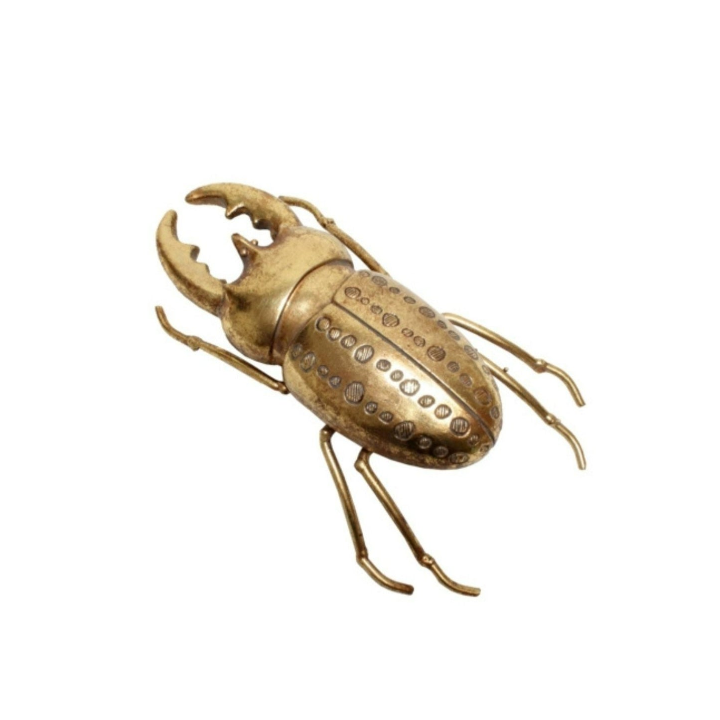 Ornament Beetle 18cms