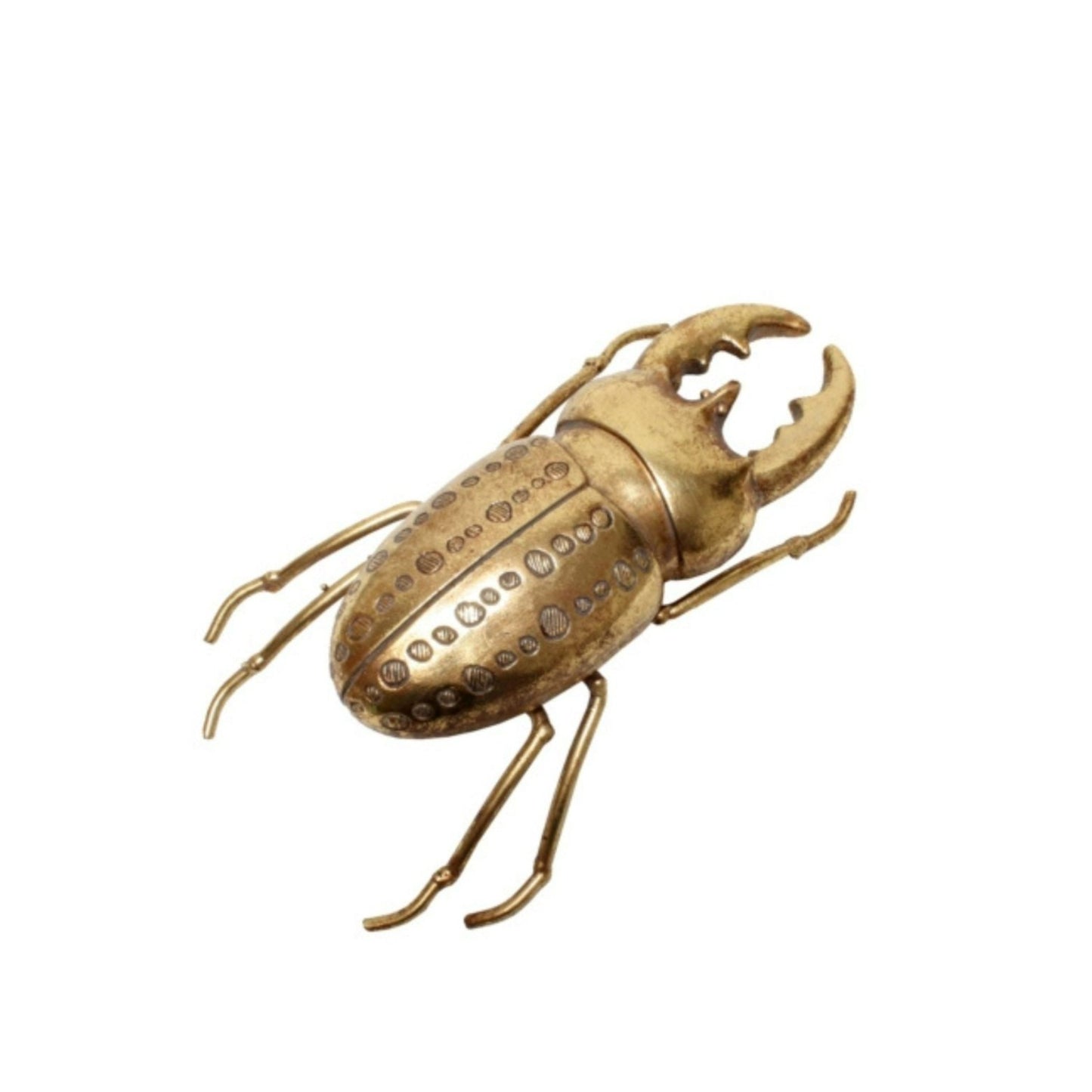 Ornament Beetle 18cms