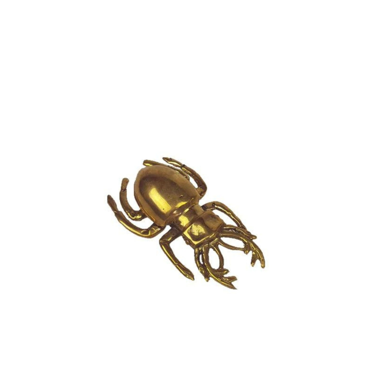 Brass Scarab Beetle