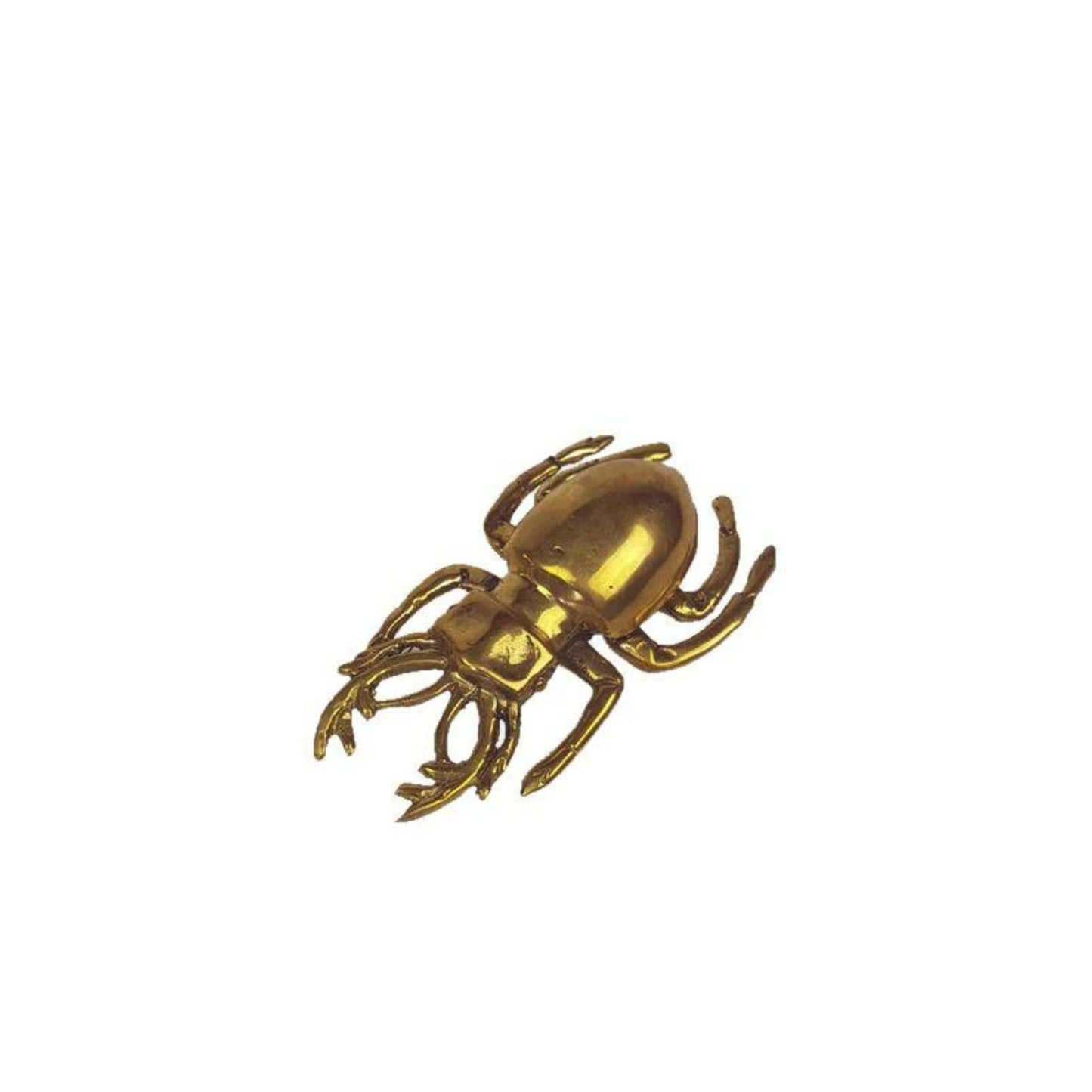 Brass Scarab Beetle