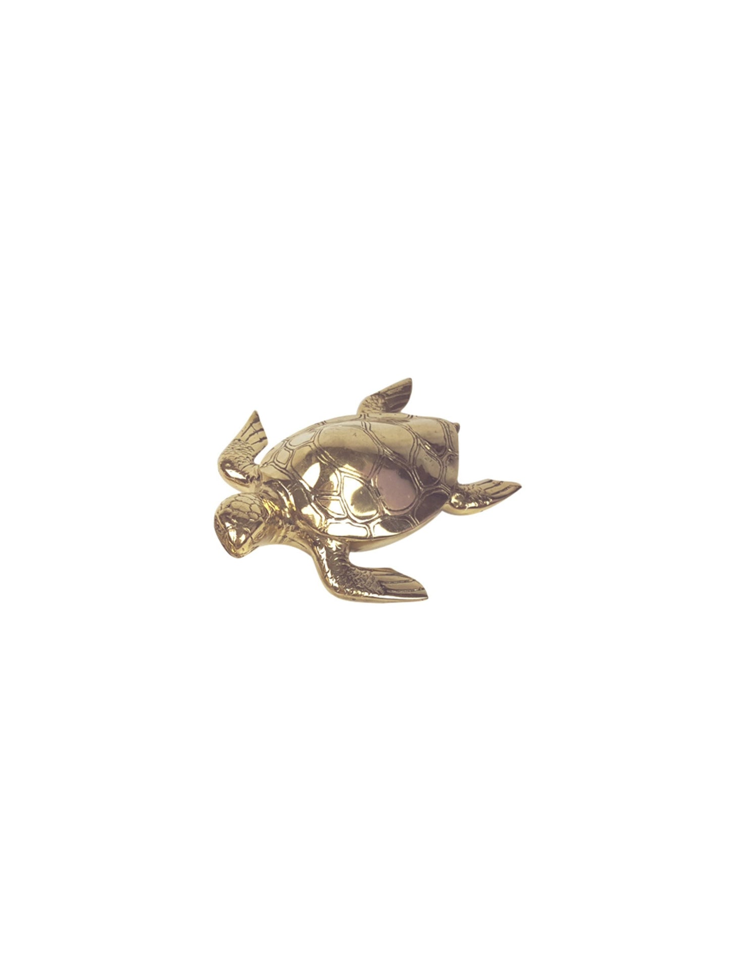 Brass Turtle