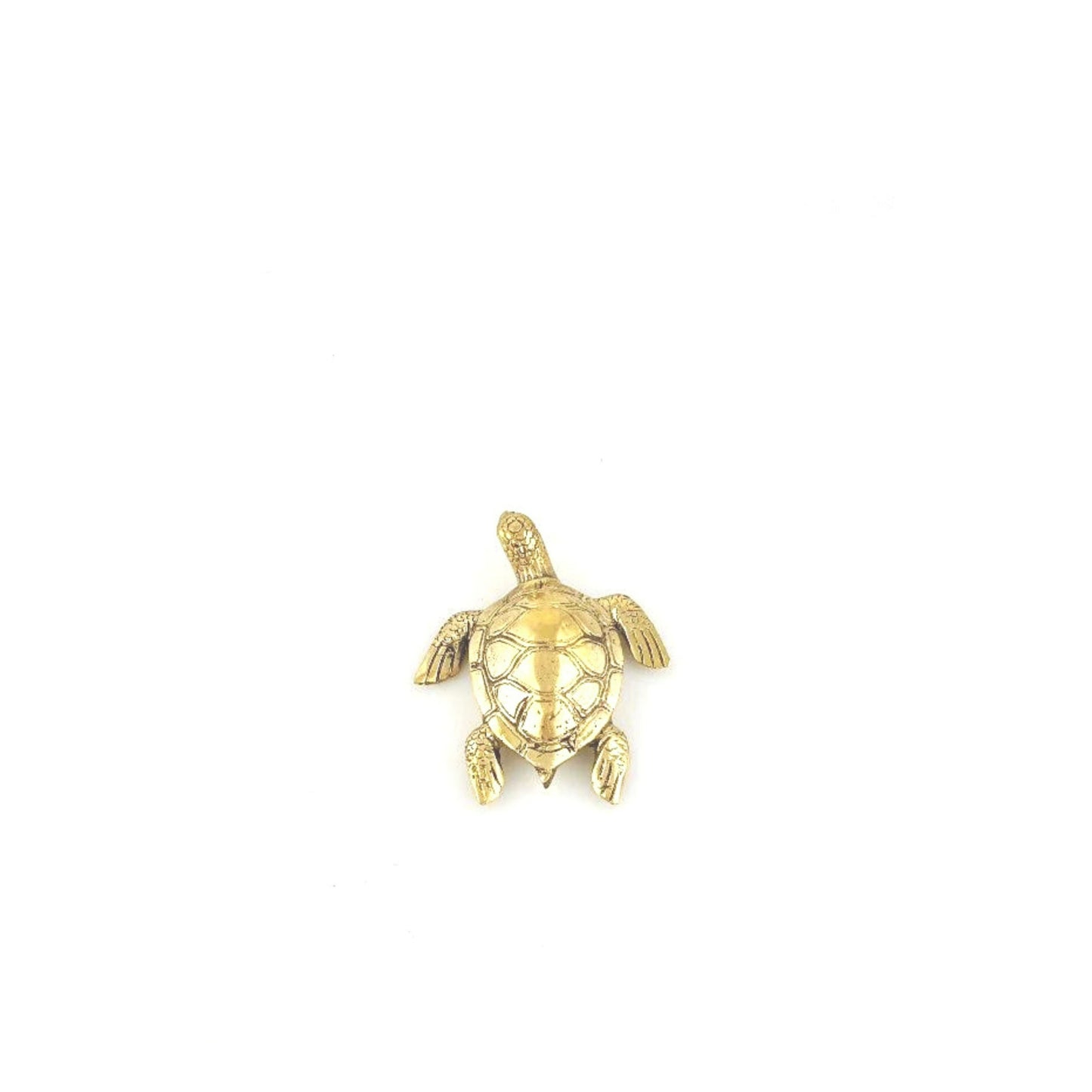 Brass Turtle