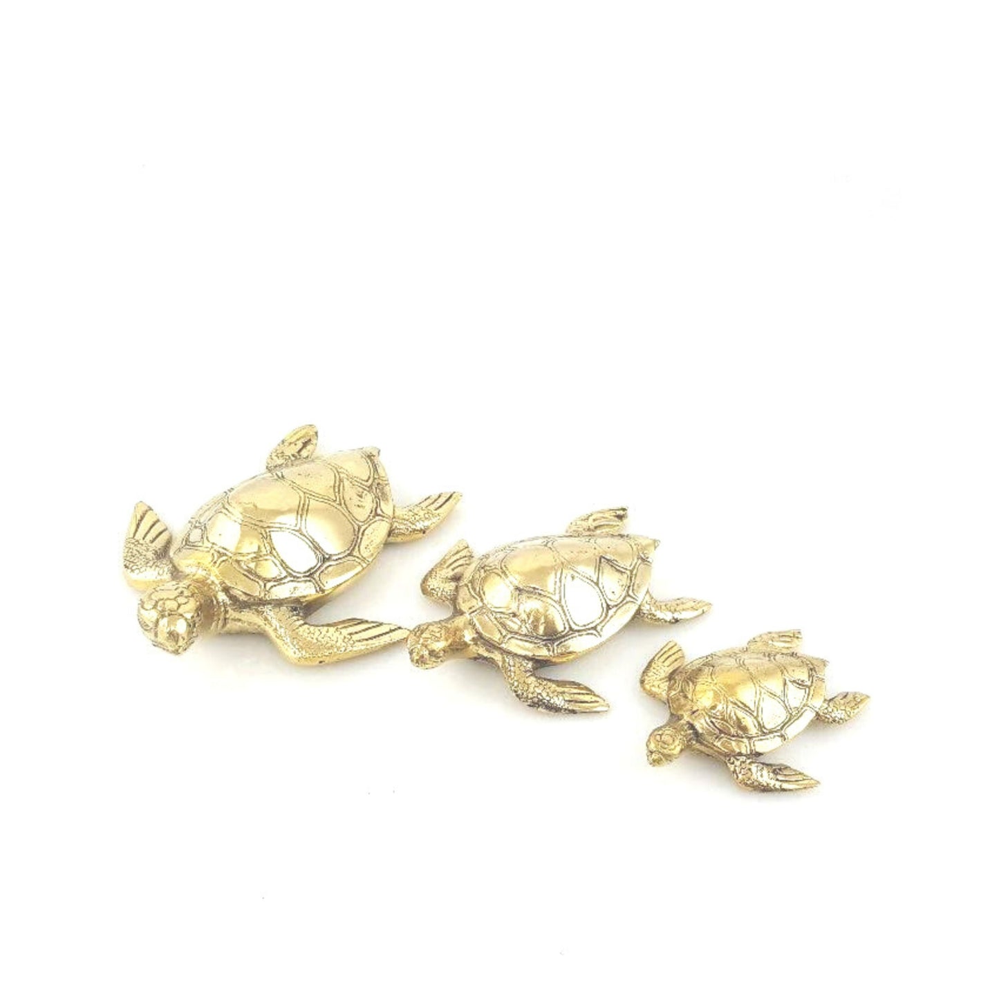 Brass Turtle