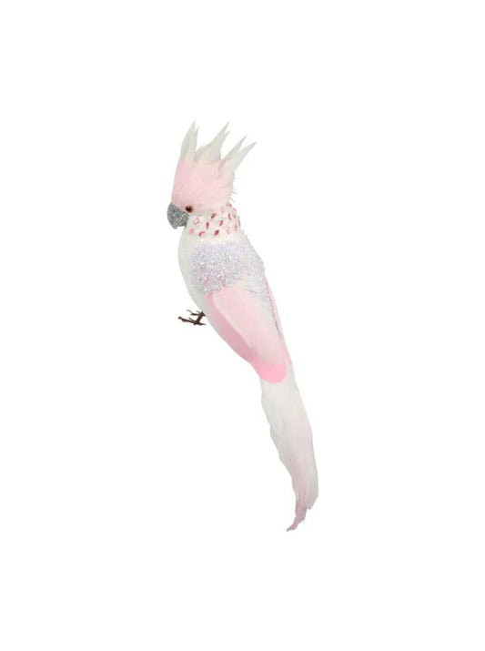 Candyfloss Pink Parrot