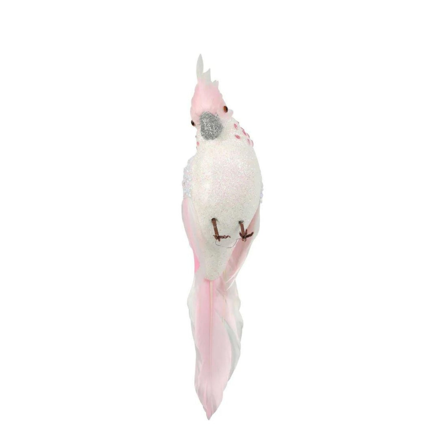 Candyfloss Pink Parrot