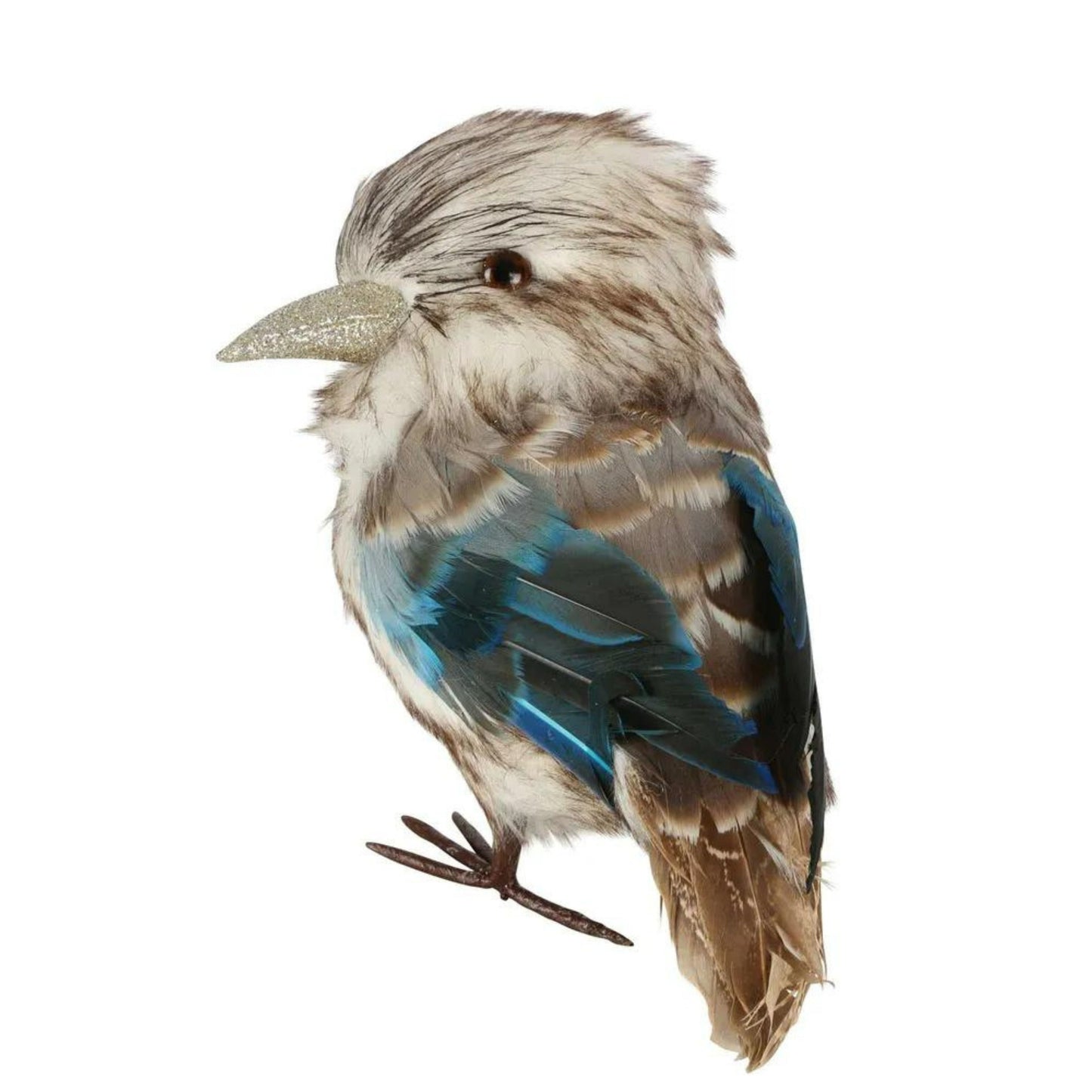 Kookaburra Medium