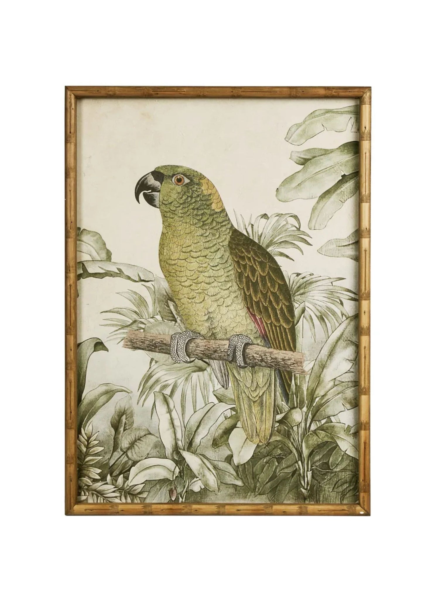 Jungle Parrot Wall Art B