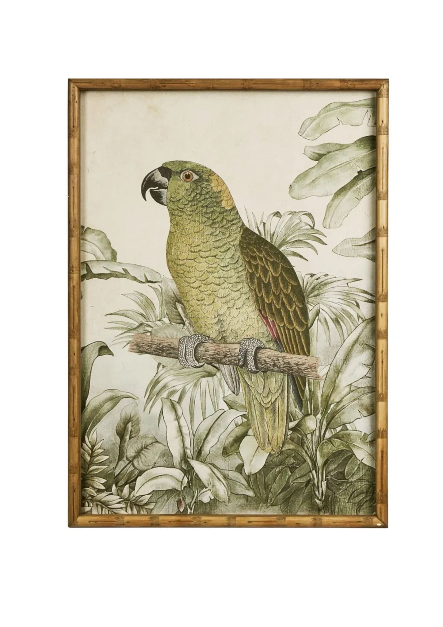 Jungle Parrot Wall Art B