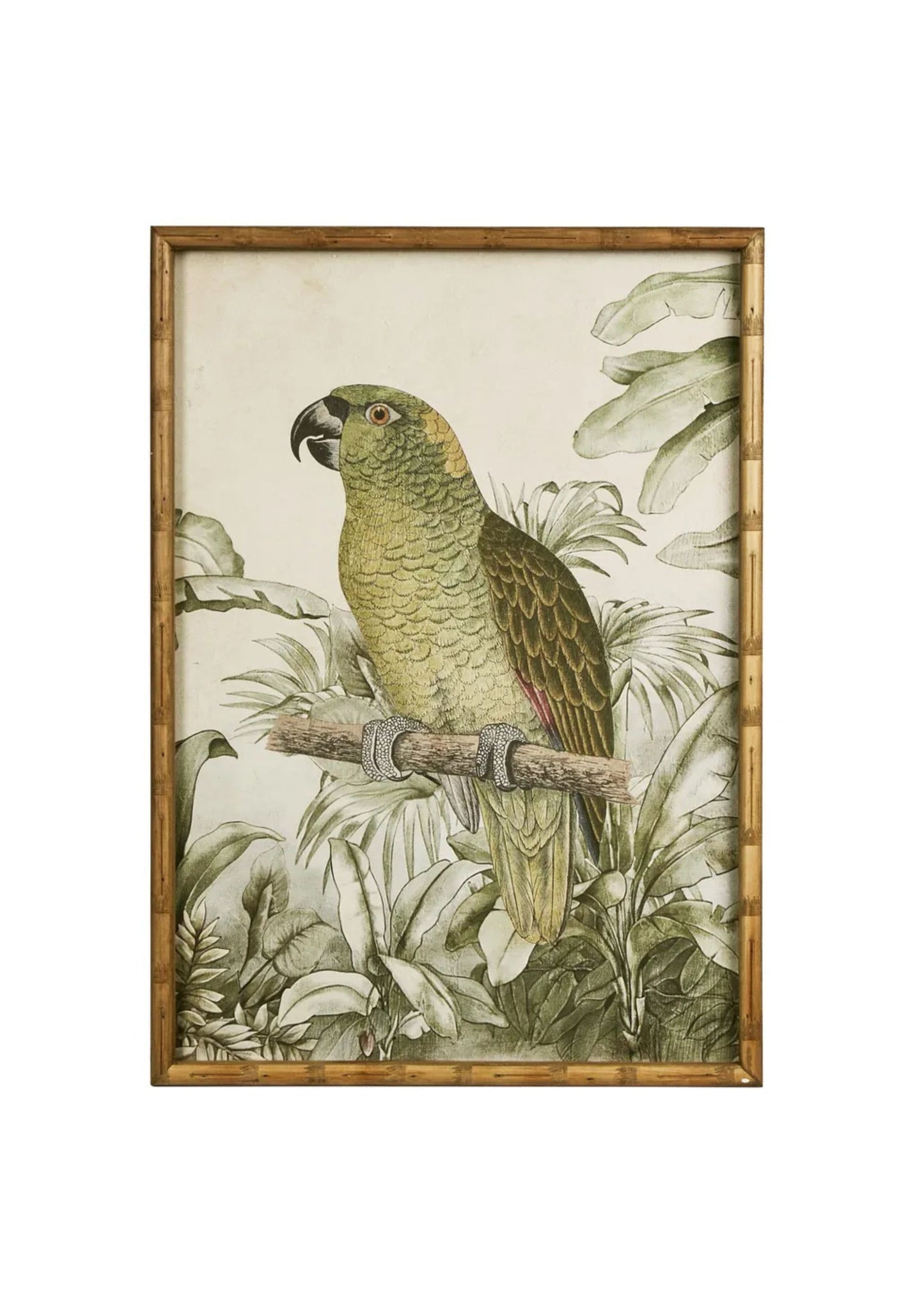 Jungle Parrot Wall Art B