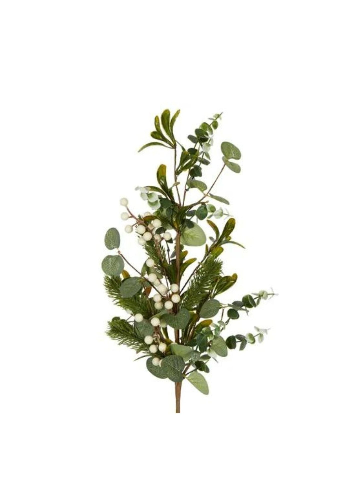 Fressi White Berry Stem