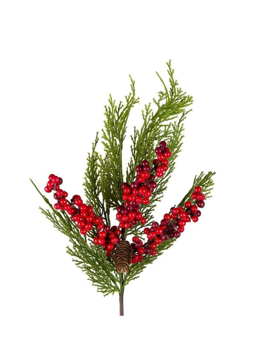 Red Berry and Pine Stem