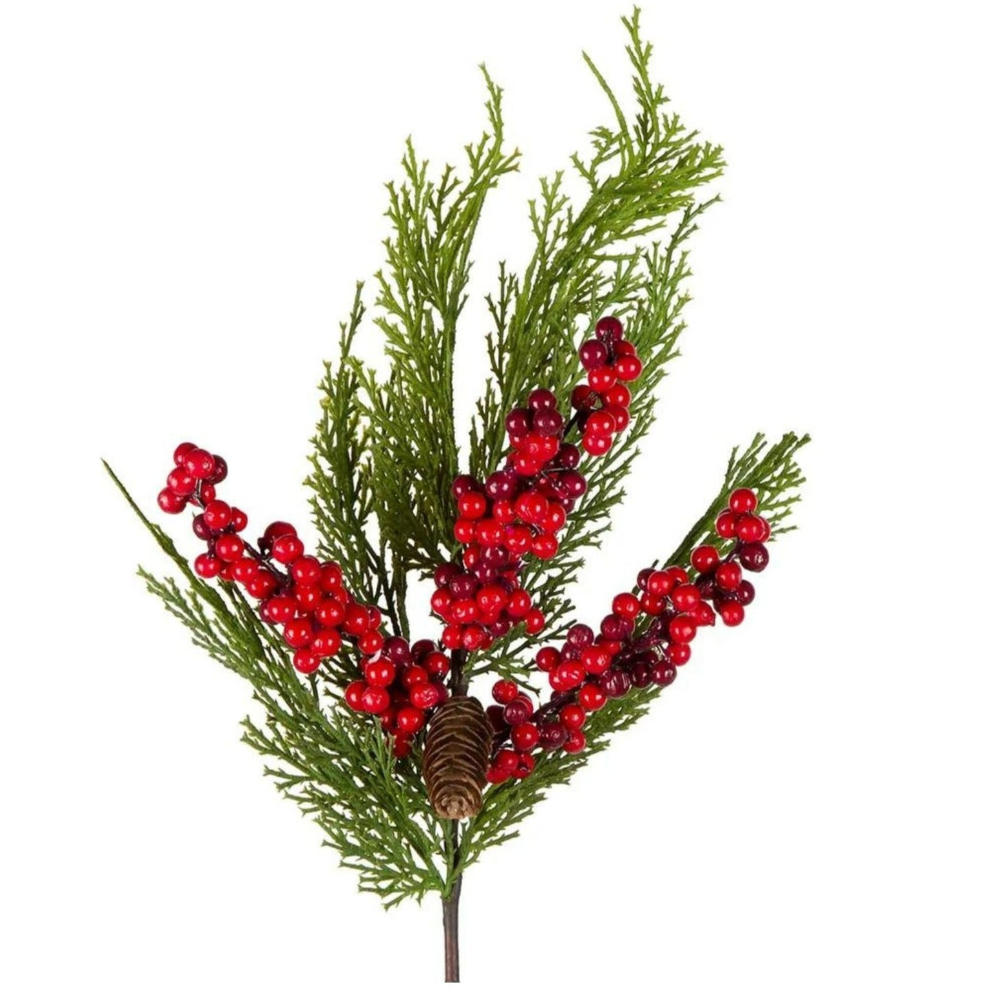 Red Berry and Pine Stem