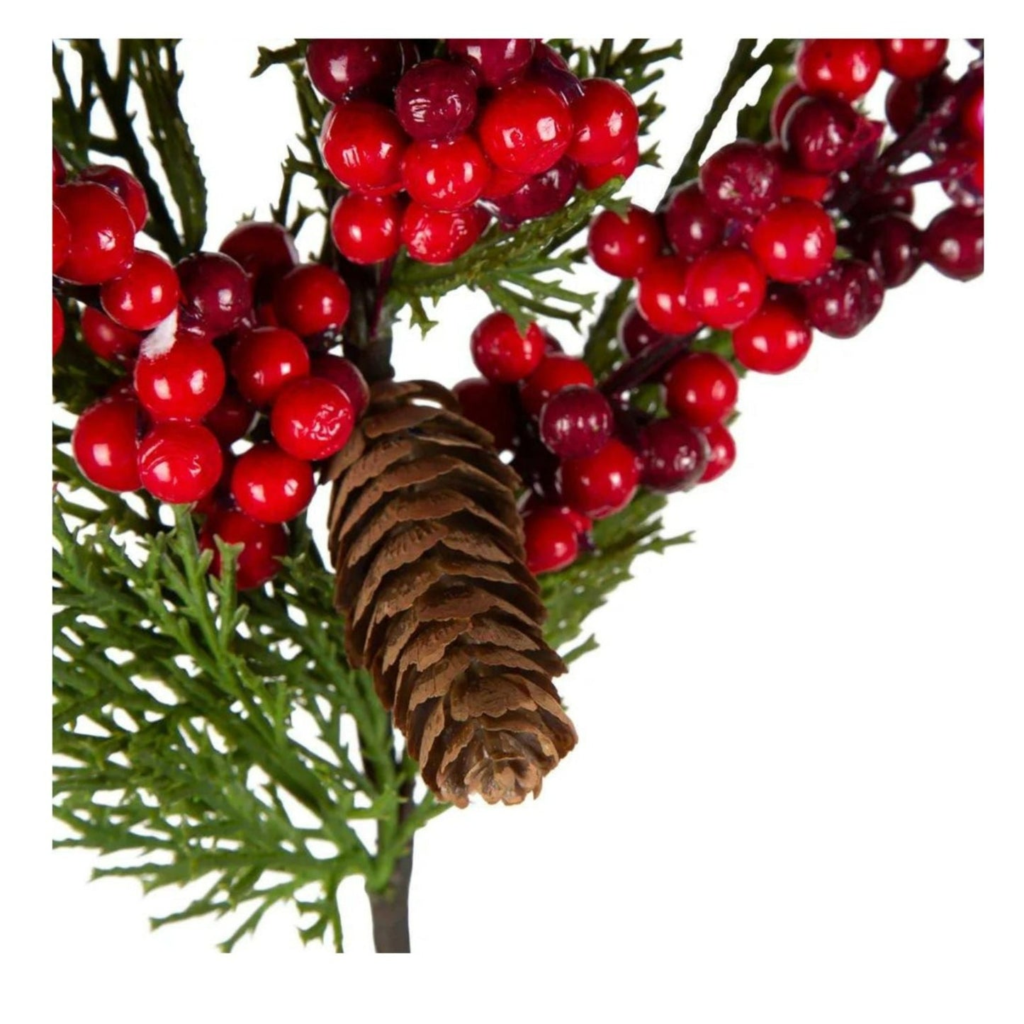 Red Berry and Pine Stem