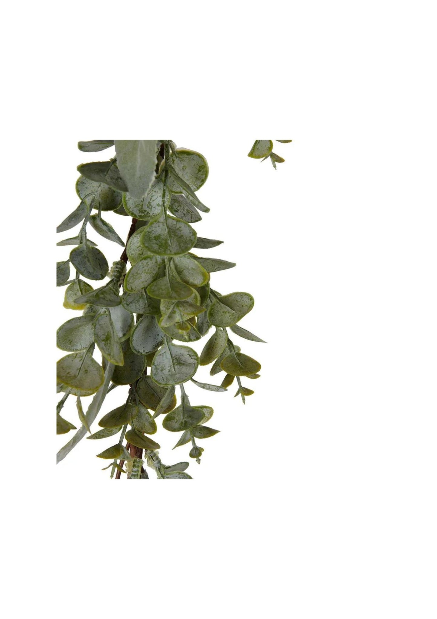 Cove Forest Leaf Garland