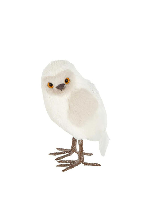 Small Owl White