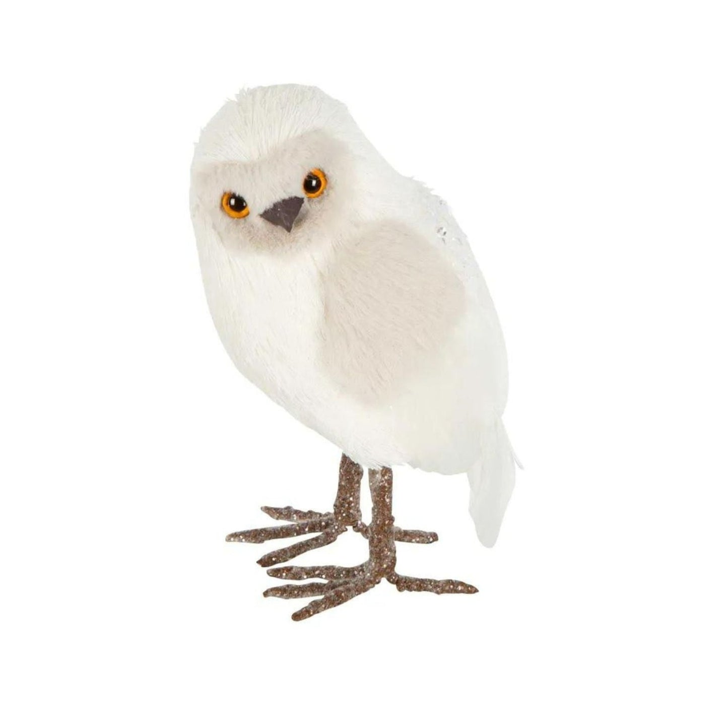 Small Owl White