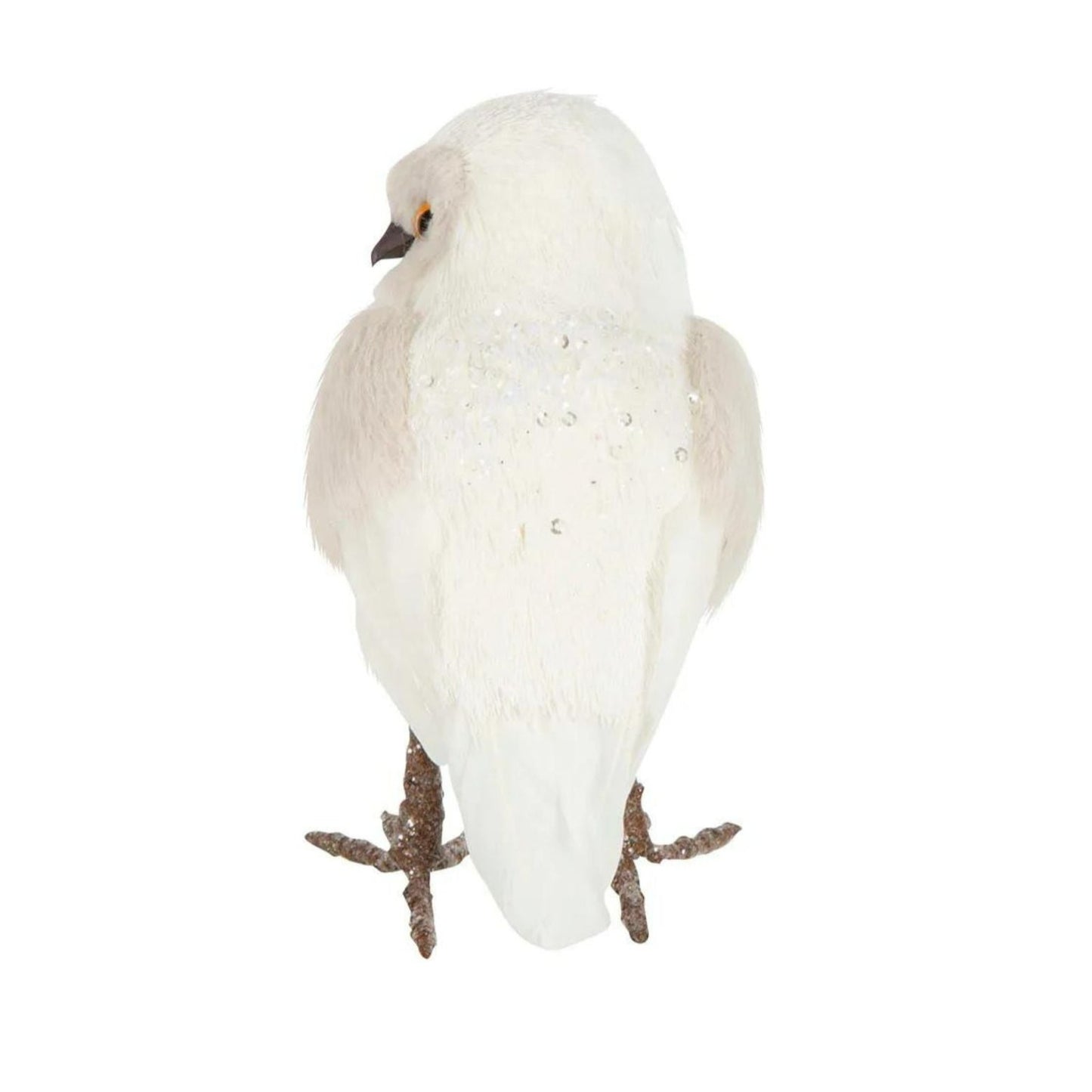 Small Owl White
