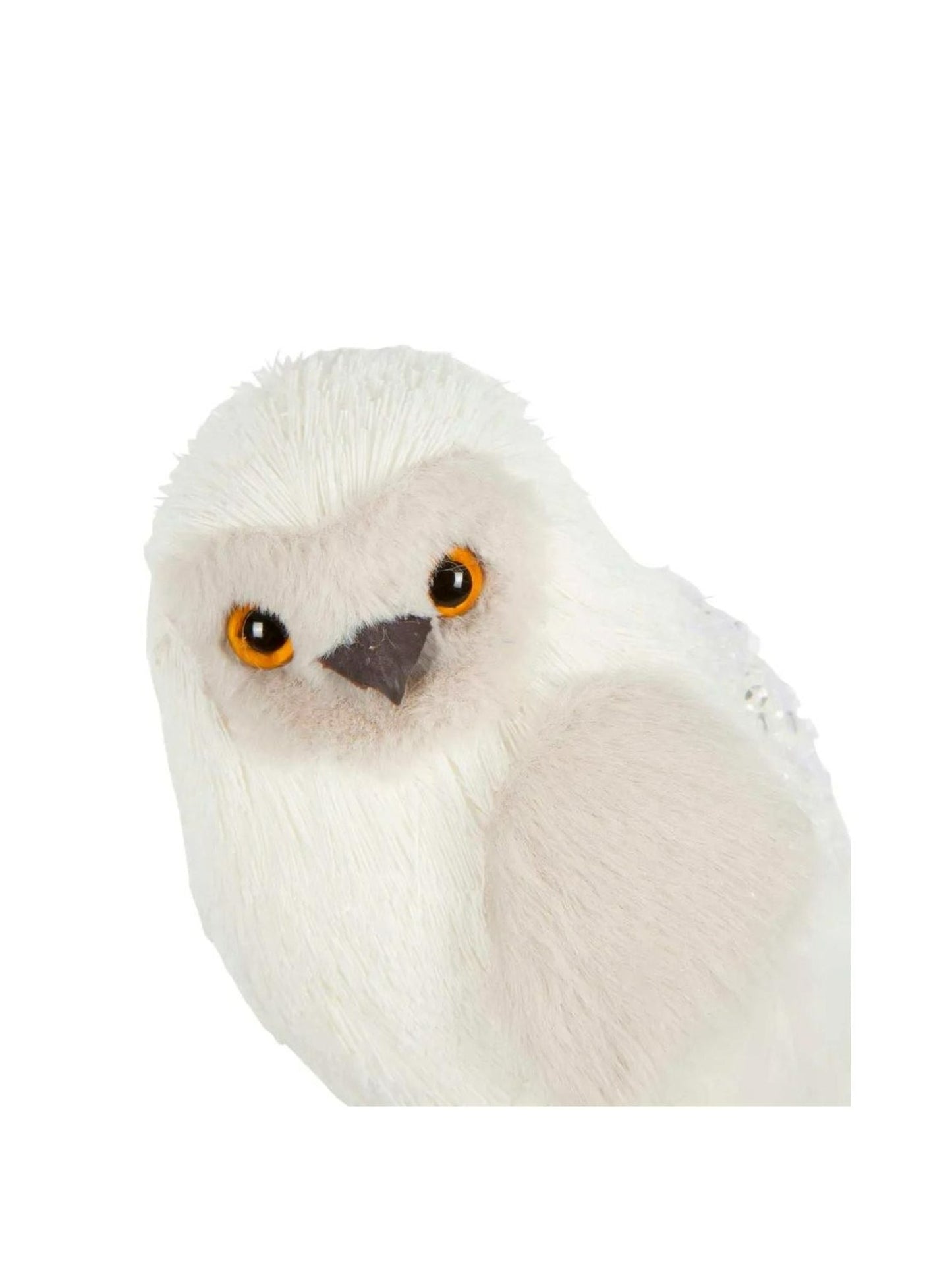 Small Owl White