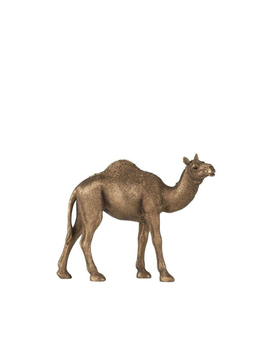 Cisco Standing Camel