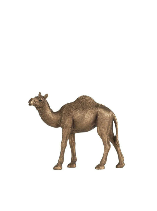 Cisco Standing Camel