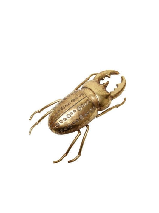 Ornament Beetle 18cms