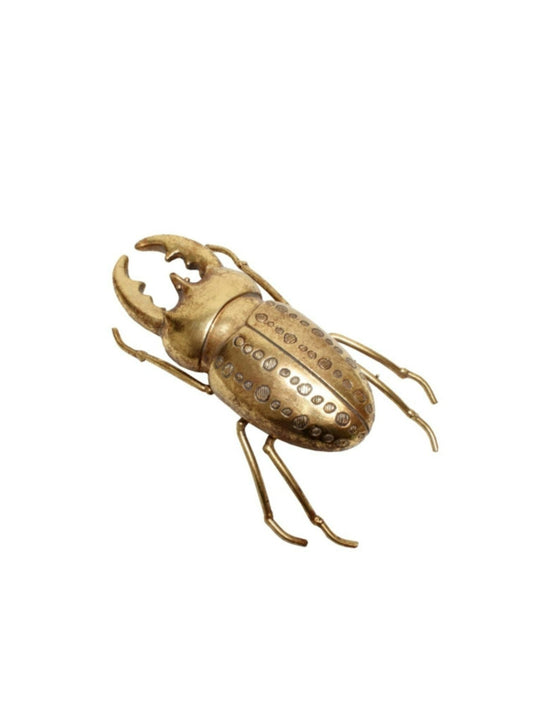 Ornament Beetle 18cms