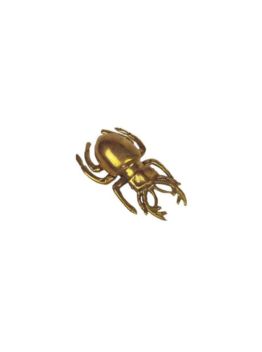 Brass Scarab Beetle