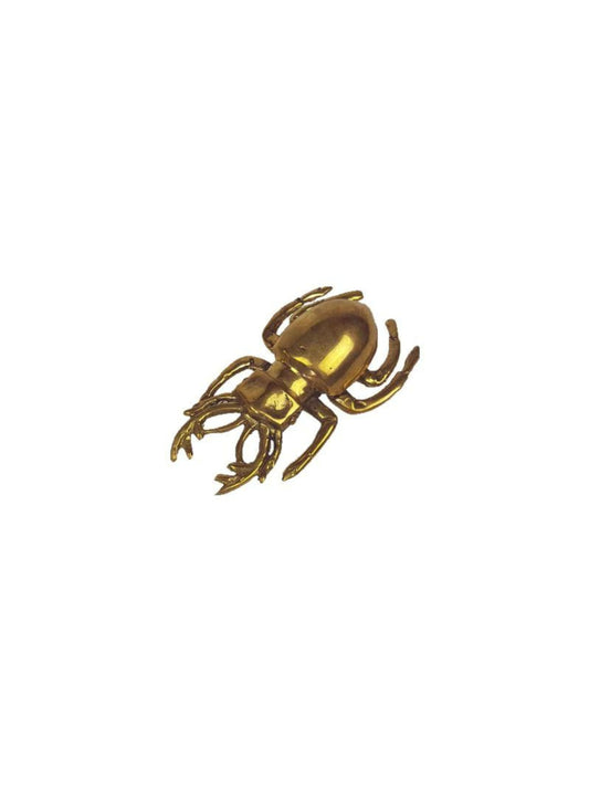 Brass Scarab Beetle