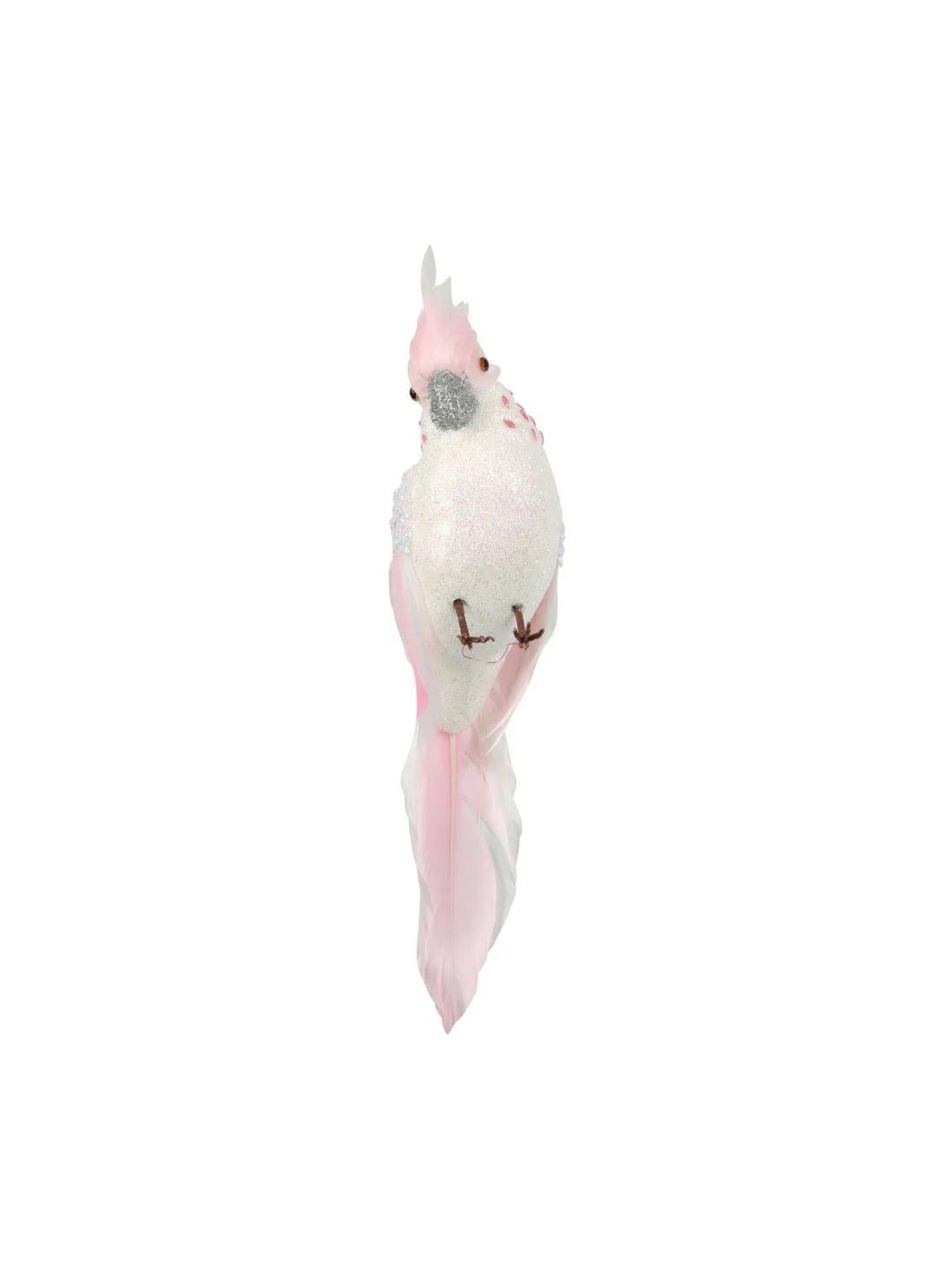 Candyfloss Pink Parrot