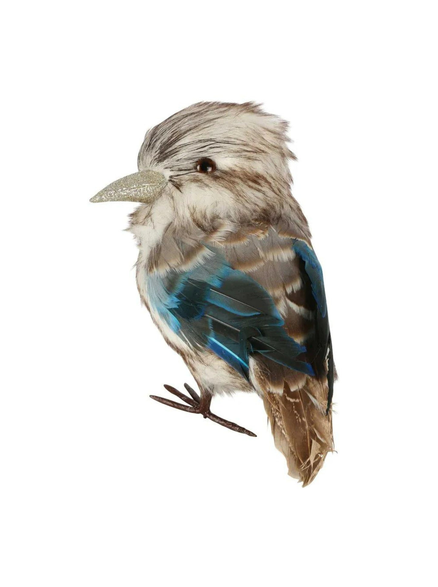 Kookaburra Medium