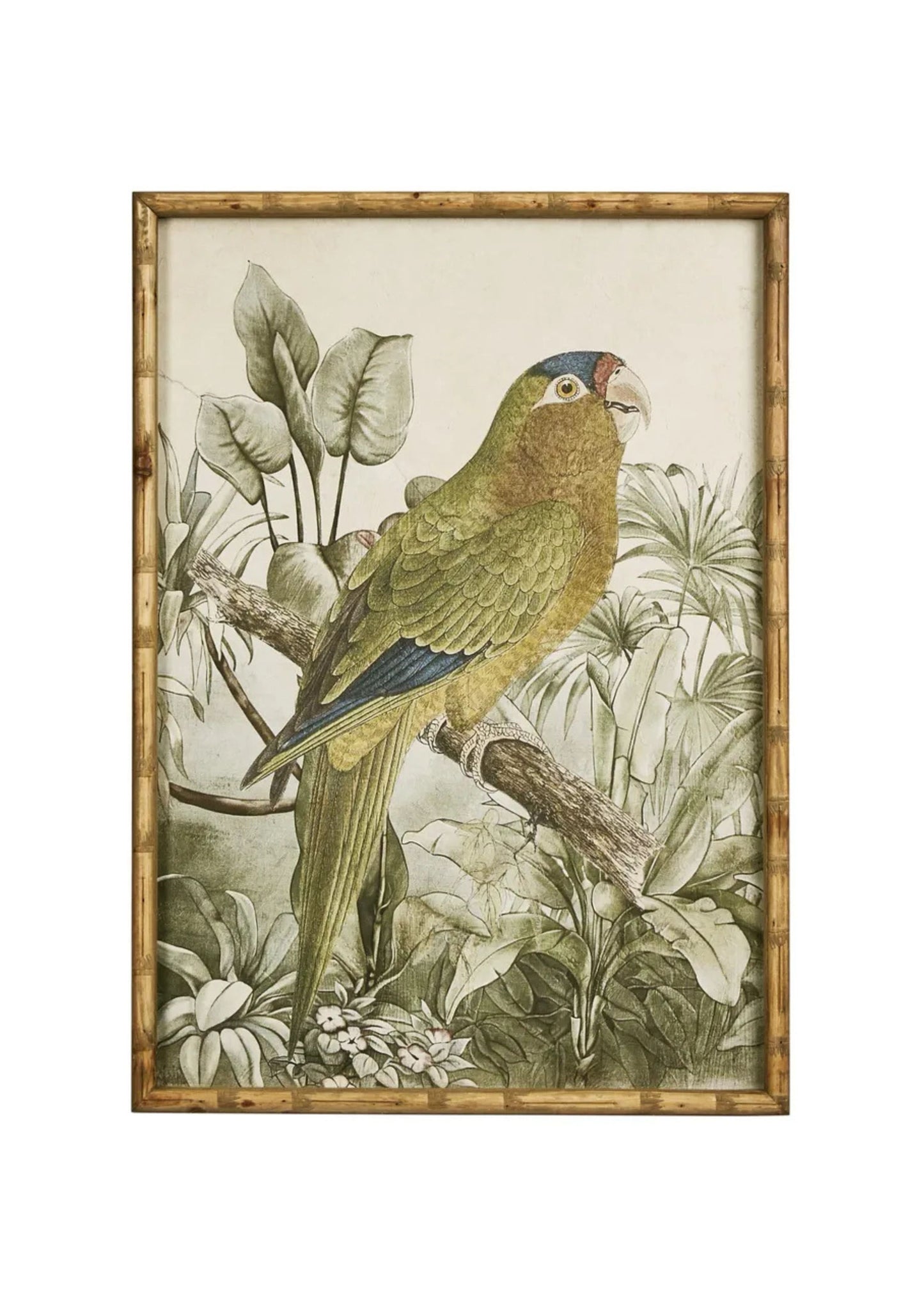 Jungle Parrot Wall Art A