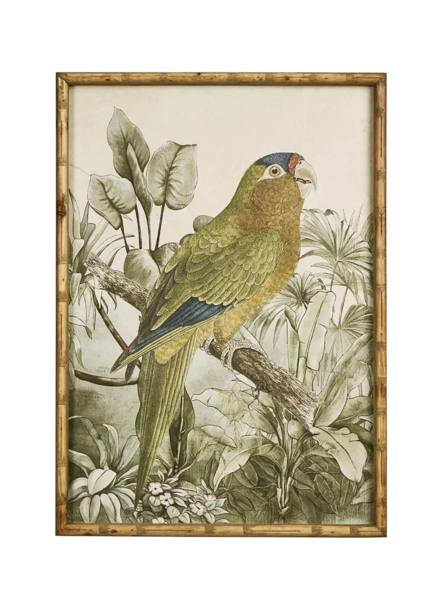 Jungle Parrot Wall Art A