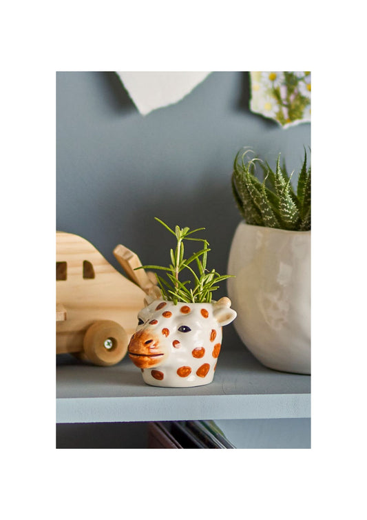 The Roam Vase