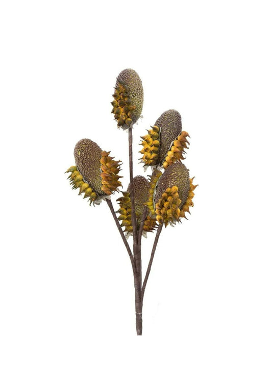 Exotic Fruit Stem 96cm Saffron