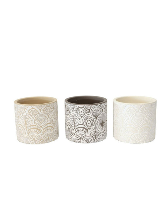 Set of 3 Assorted Cement Pot Planters