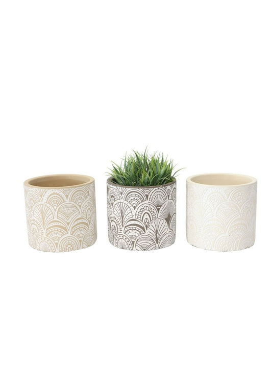 Set of 3 Assorted Cement Pot Planters