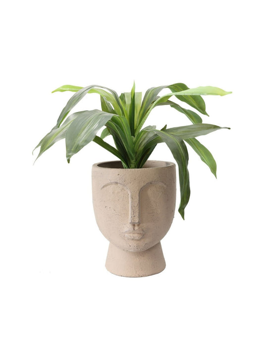 Belle Face Pot Planter